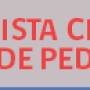 revista_chilena_pediatria320_65.jpg